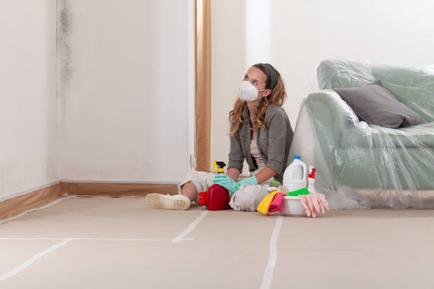 Reliable Basement Mold Removal contractor in Hamburg, PA by WQB Mold Removal